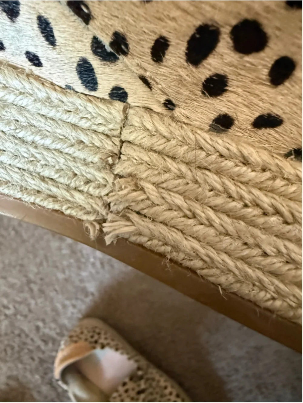 Women's Dolce Vita Leopard Print Espadrille Zip Sneakers